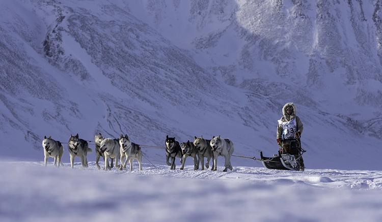 Trappers Trail 2026 : La course de chiens de traîneau au Svalbard