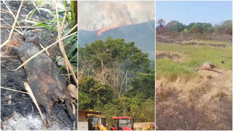 Terra indígena no PA tem 50 dias seguidos de queimadas; MPF cobra órgãos com urgência