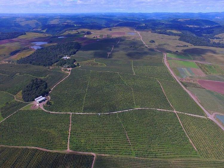 Consórcio é definido para obras do Aeroporto de Vila Oliva e contrato pode ser assinado na próxima semana com a presença de Lula