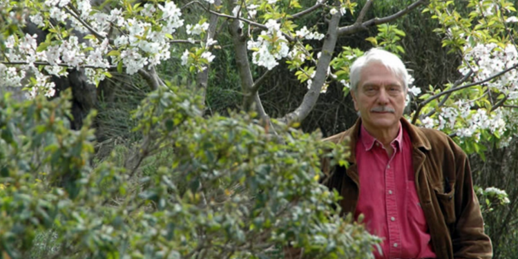 Domenico Cacopardo, cuore messinese. Oggi lo scrittore ed ex magistrato compie 90 anni