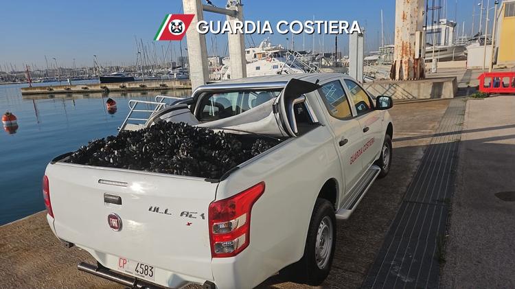 Sequestrata quasi una tonnellata di cozze tra Bari e Bitonto