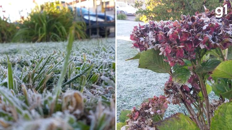 Frio não dá trégua: cidade da Serra Gaúcha tem 3º dia seguido de temperaturas negativas; veja previsão
