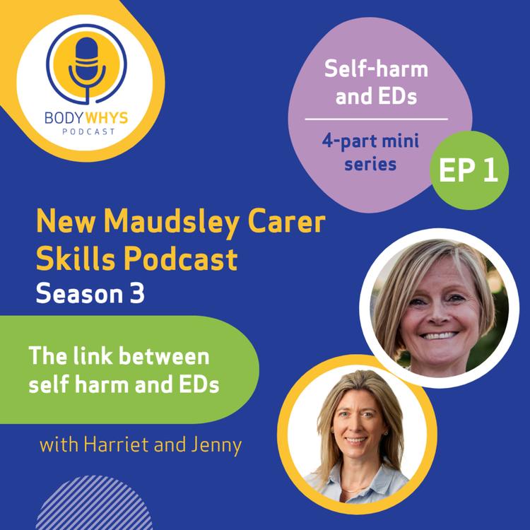 Mini-series: Self-harm and eating disorders. Episode 1: The link between self-harm and eating disorders