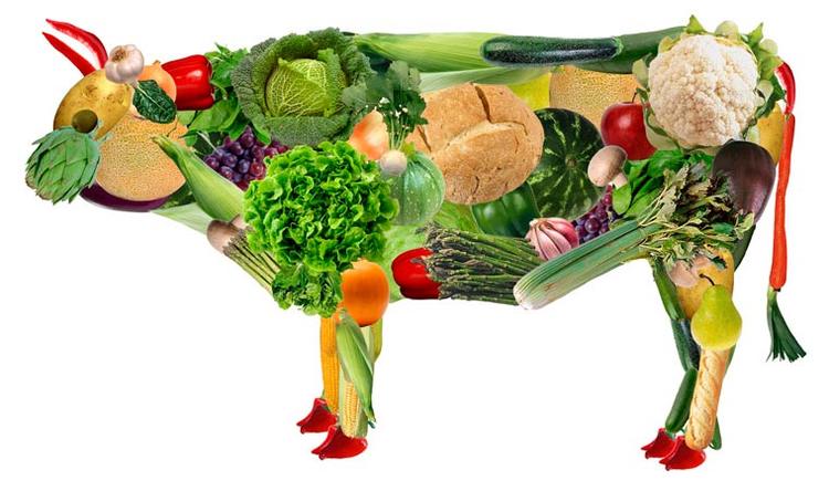 Corsa e alimentazione vegana: i problemi da affrontare