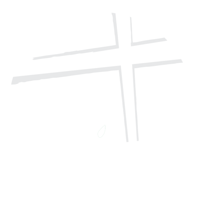 Laoportunidad