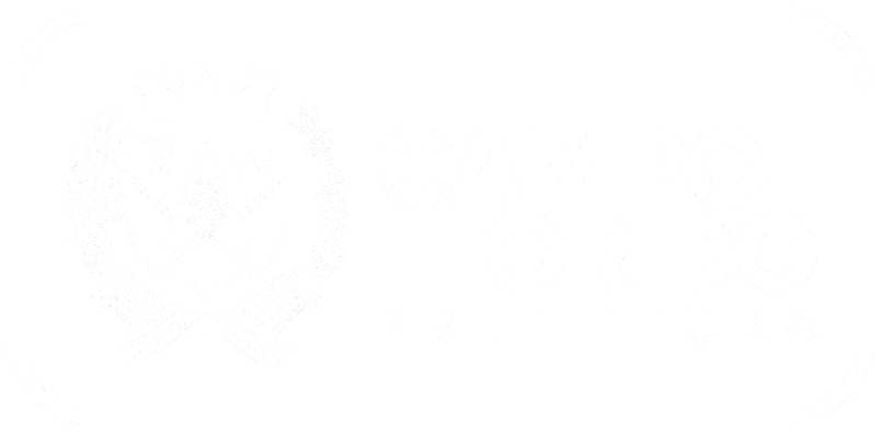 Conecta CF - Prefeitura Municipal de Campo Florido