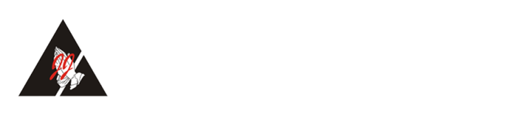 Website Tampilan Baru