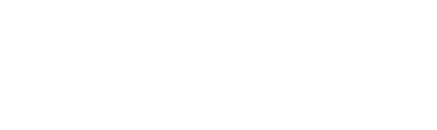 Shakedown Media | Agencia de comunicación especializada en el mundo del motor | Página Oficial |