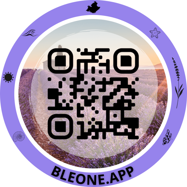 📱 Ajouter Bleone.app à votre écran d'accueil en 3 étapes faciles ! 🚀