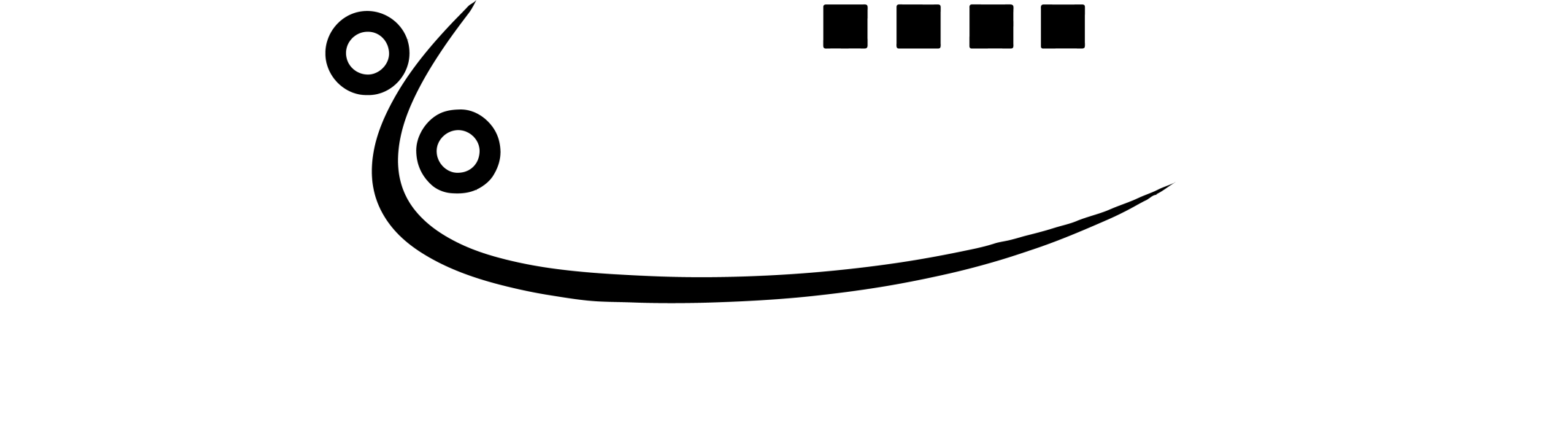 100% coiffure