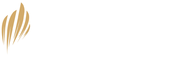 ELYON CHURCH