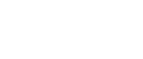 Viset