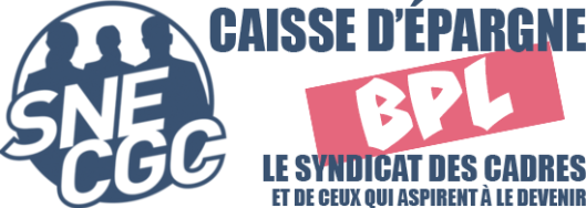 SNE-CGC CEBFC