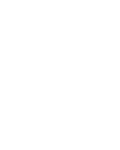 App DigGesV