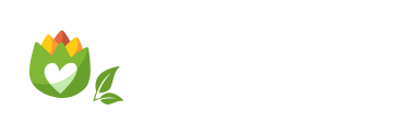 APP Fiestas de la Verdura