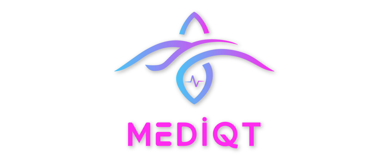 Media QT