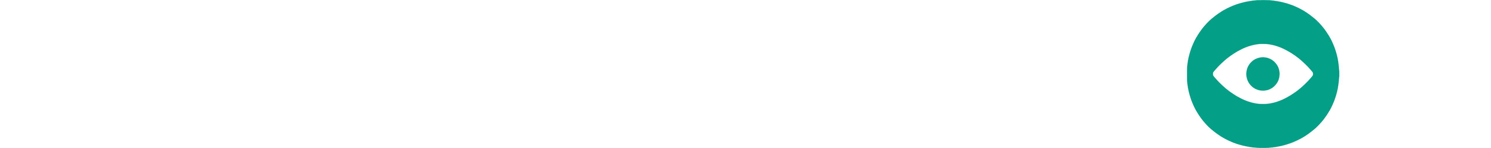 OBSERVADOR