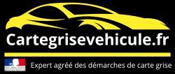 Carte Grise en Ligne - Démarches Administratives Véhicule Rapides