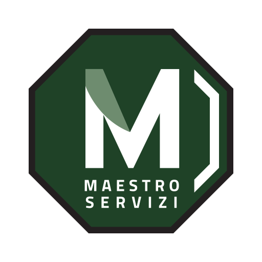 Maestro Servizi