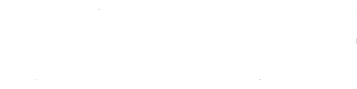 Skinzone Shop