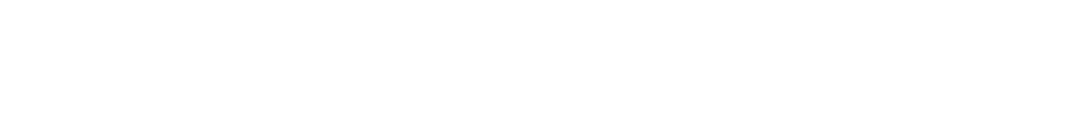 STAMPIDA
