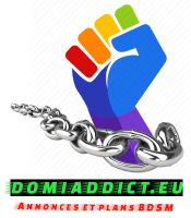 Domiaddict