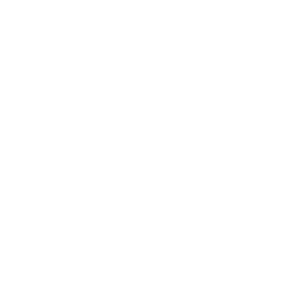 Buzz Media NC