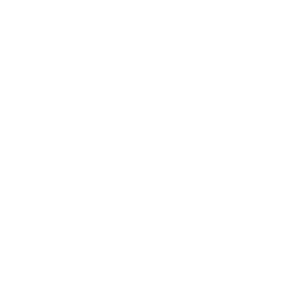 SalsAlianza
