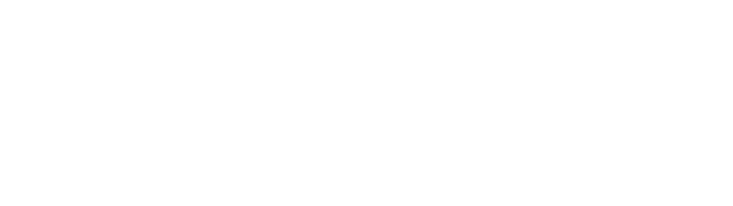 SNE-CGC CEPAL
