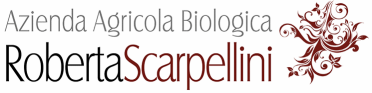Scarpellini