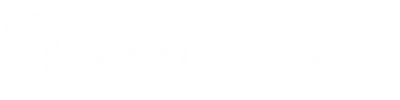 Visión de Futuro