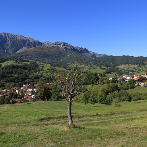 El Ardinal